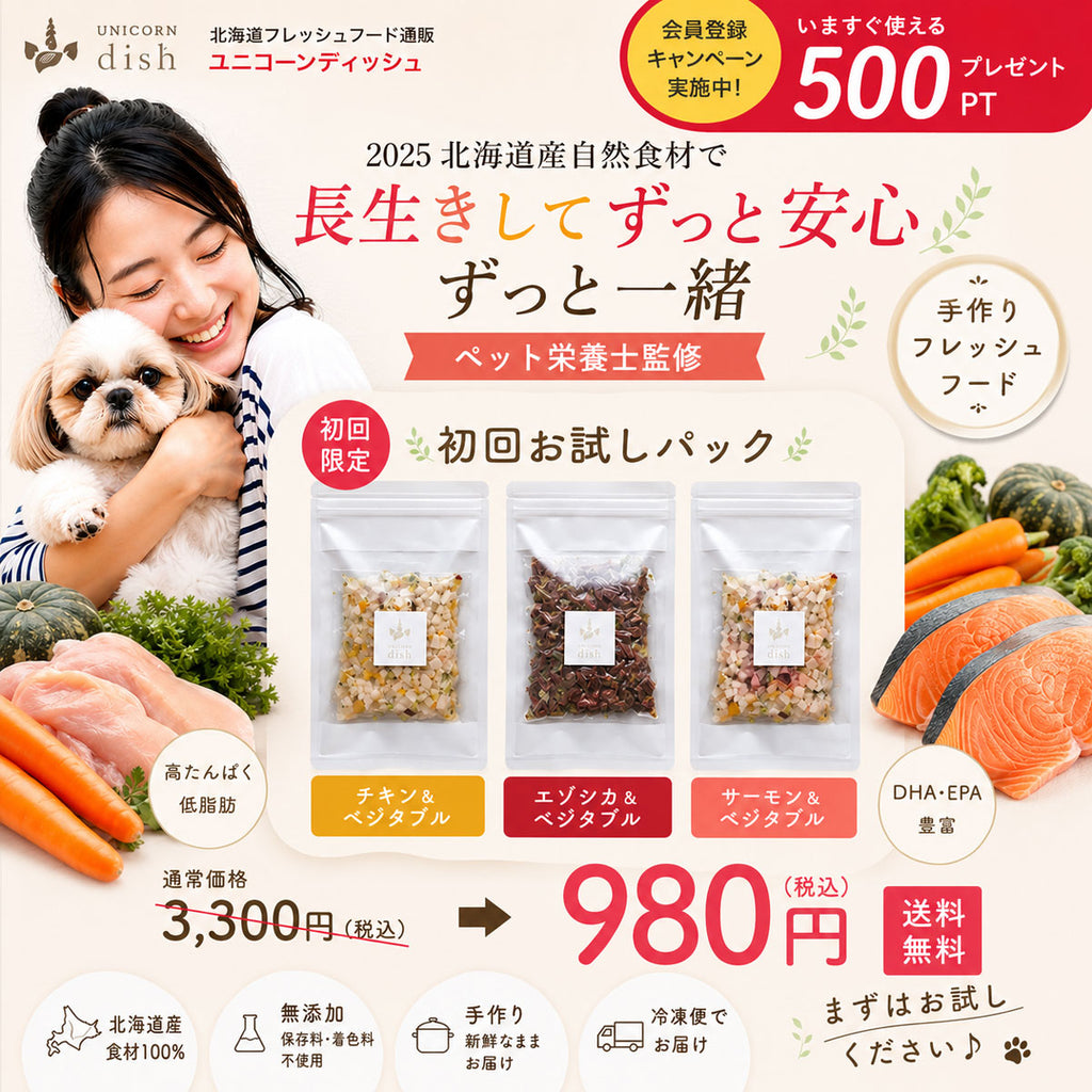 初回特典お試しパック